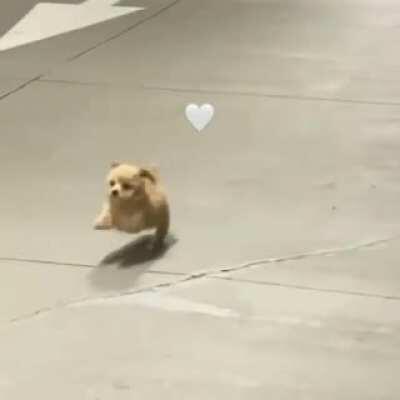 I’m running fastest I can wait for meee