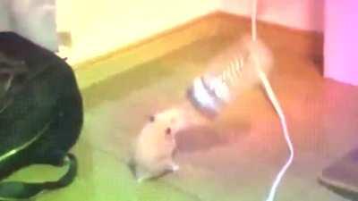 He still party to this day