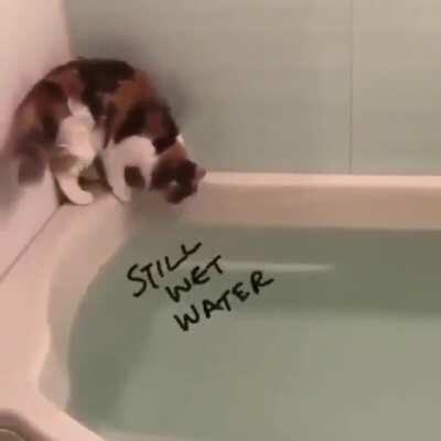 calculations went wrong