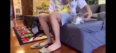 What the Chain spell is like in Shadow Brawl