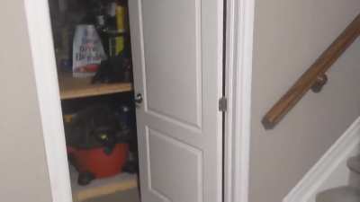 Made a meme using my blahaj