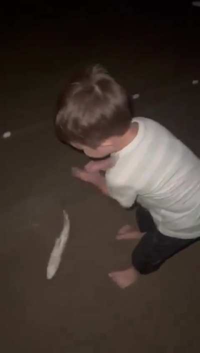 Large fireball over Brazil - April 23rd.