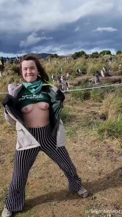 I Flashed Some... Penguins!