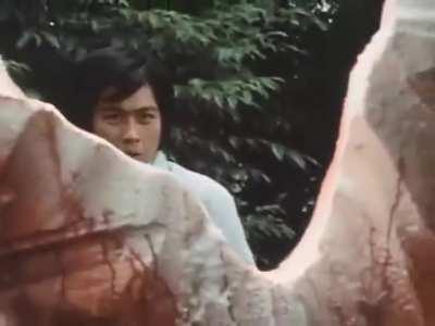 This film has seen inside my dreams