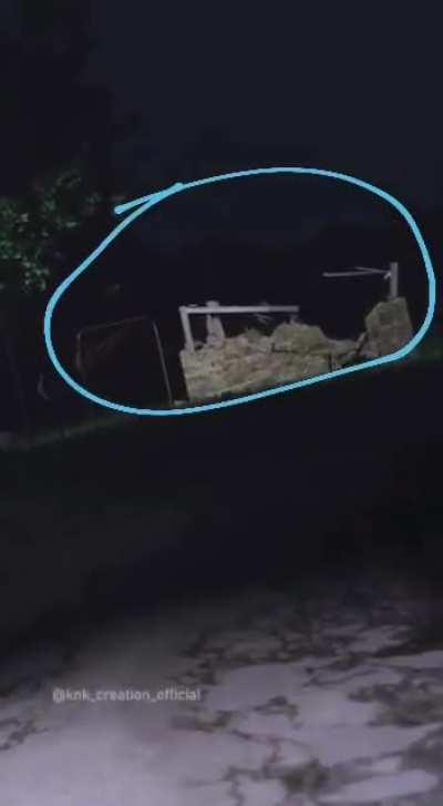 can you find the cat?