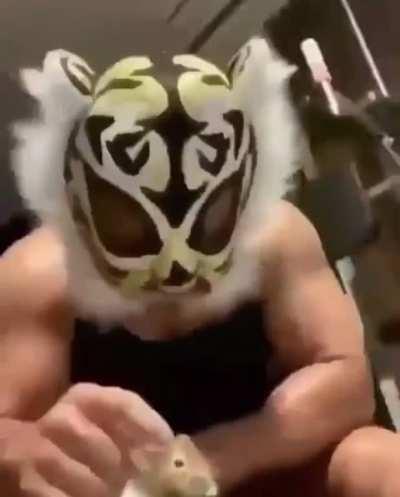 This has to be my favourite hamster related video on the internet.