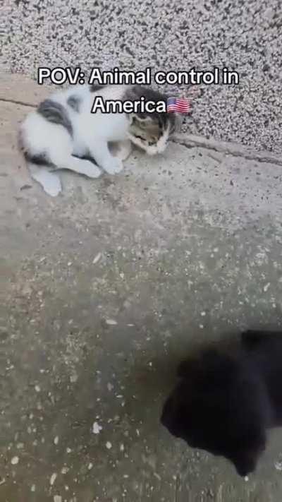 Stop resisting BabyRage 