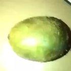 Cursed Kiwi