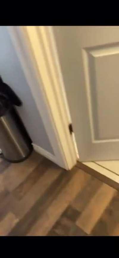 My mans just trying to finish some work.