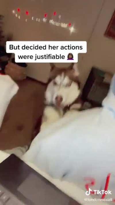 arya having a moment.she's stubboen but smart