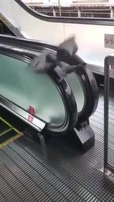 They've got magnets in them, this is SOLID proof