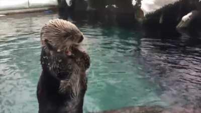 First snow day of the year at the Oregon Zoo