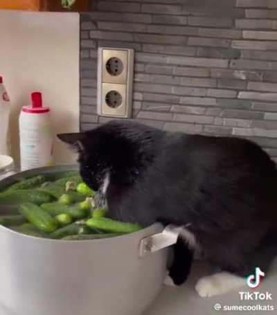 He even helps in the kitchen