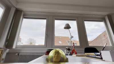 Endlich! Der höhenverstellbare Schreibtisch wurde geliefert!