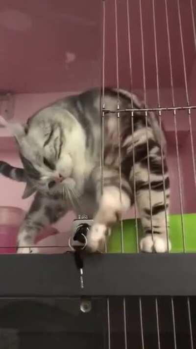 Breaking out with C@