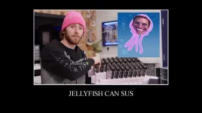 Linus Sus Tips (Not OC)