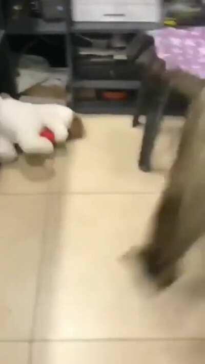 WTF is that thing....