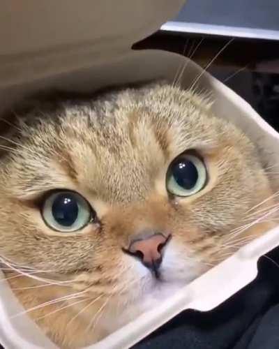 Lunch time ðð