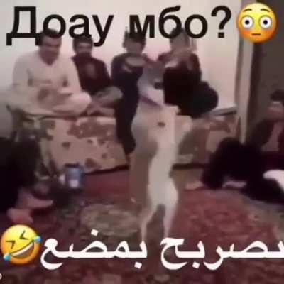 Real ou fake???? 😳