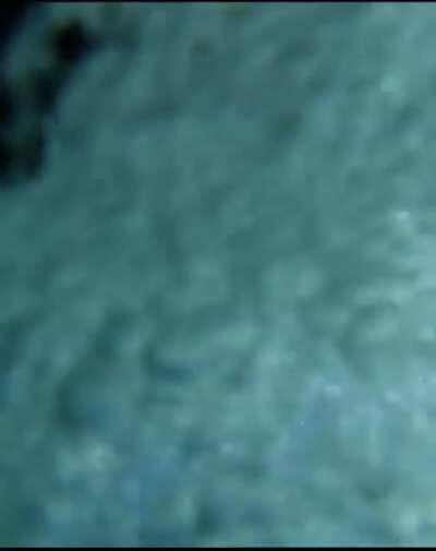 Double cameraman dedication