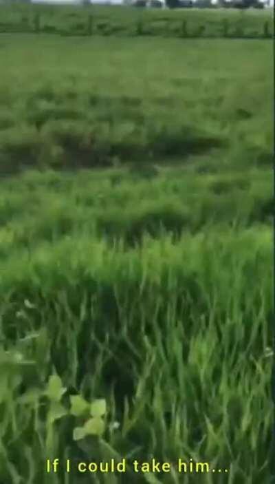 Um resgate inesperado