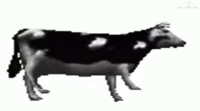 Ci ho provato (video vecchio ma mi piaceva l’idea)