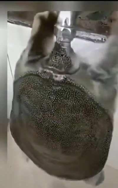 Think about your penis here you pig!