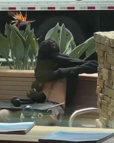 This guy waits until 420.