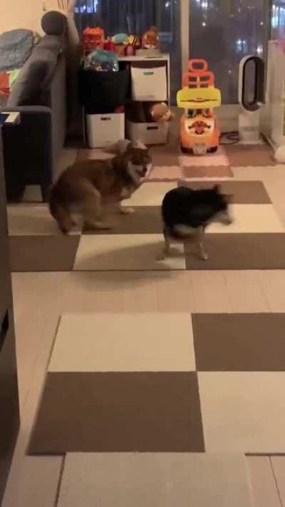 You spin me right round