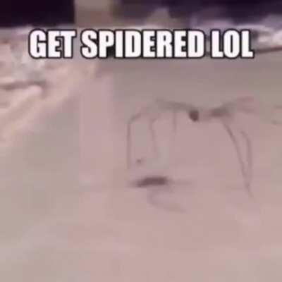 Esta va pal bicho palo 🤬🖕🏼🤬🖕🏼🤬