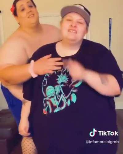 Which one is the alpha