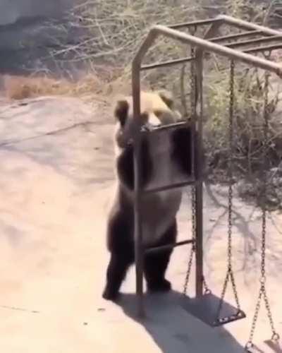 the small things in life