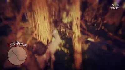 [RDR 2] My horse's jump is higher than my dream.