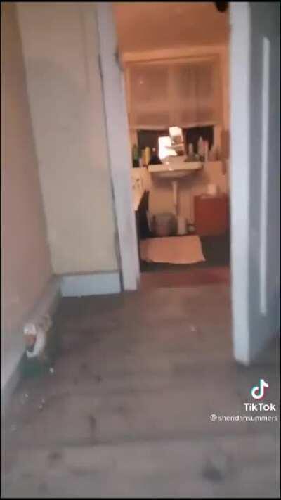 People wonder what happened to Harry Potters foster parents, here's them now