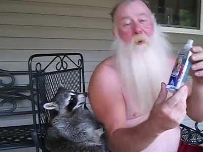 Who knew raccoons hated Hannah Montana?