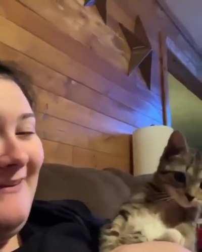 Hang on… what is that?