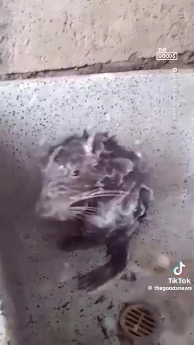 This is what Adam was talking about