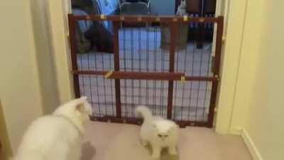 Training at the acatdemy.