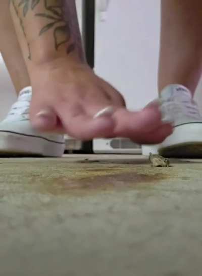 Vans for treat Tuesday!