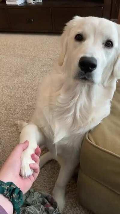 🎵 I wanna hold your hand... 🎵