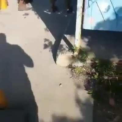 A 60 years old Palestinian woman was killed at Israeli check point in West Bank