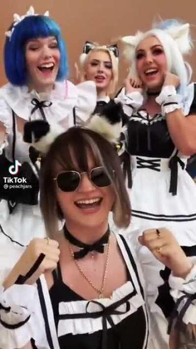 My dog shat on the carpet