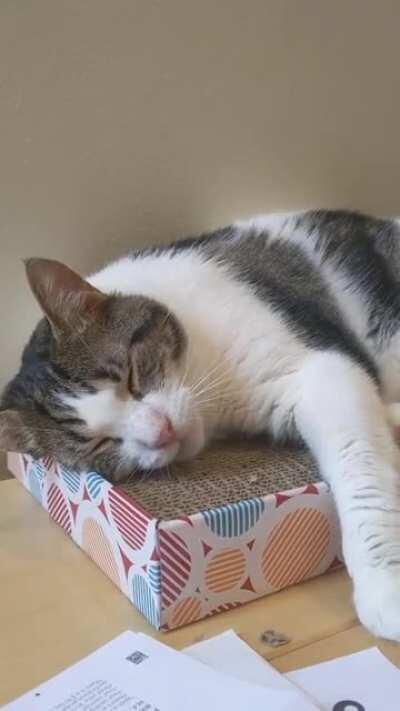 Happens every time I sneeze. Doesn't matter if it's a real or fake one.