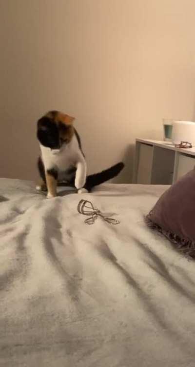 Threat detected: eyelash curler