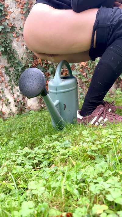 Would you prefer I water the grass or water you ?