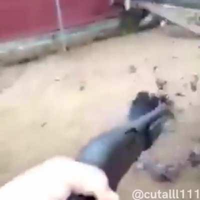 keloposting - Video #3642