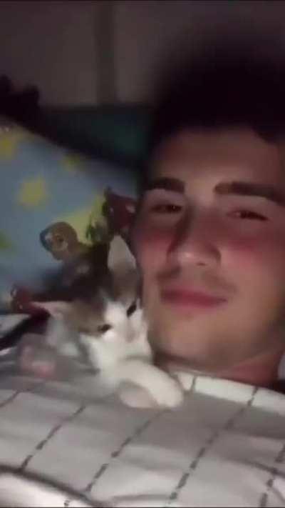 What men really want