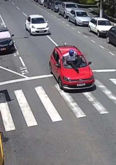 Always look out for crossing dogs