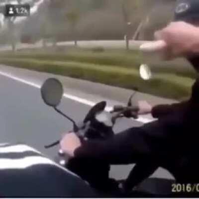 This will remain as one of the best videos I've ever seen on the internet. 🦄