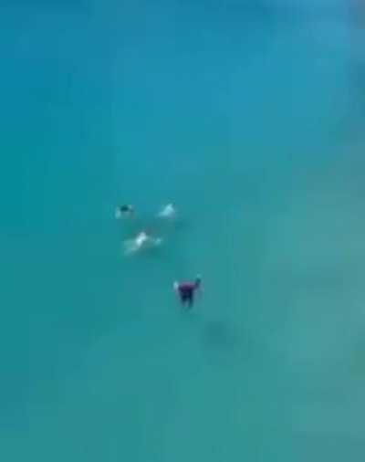 HMB, I'm in a bit of a hurry